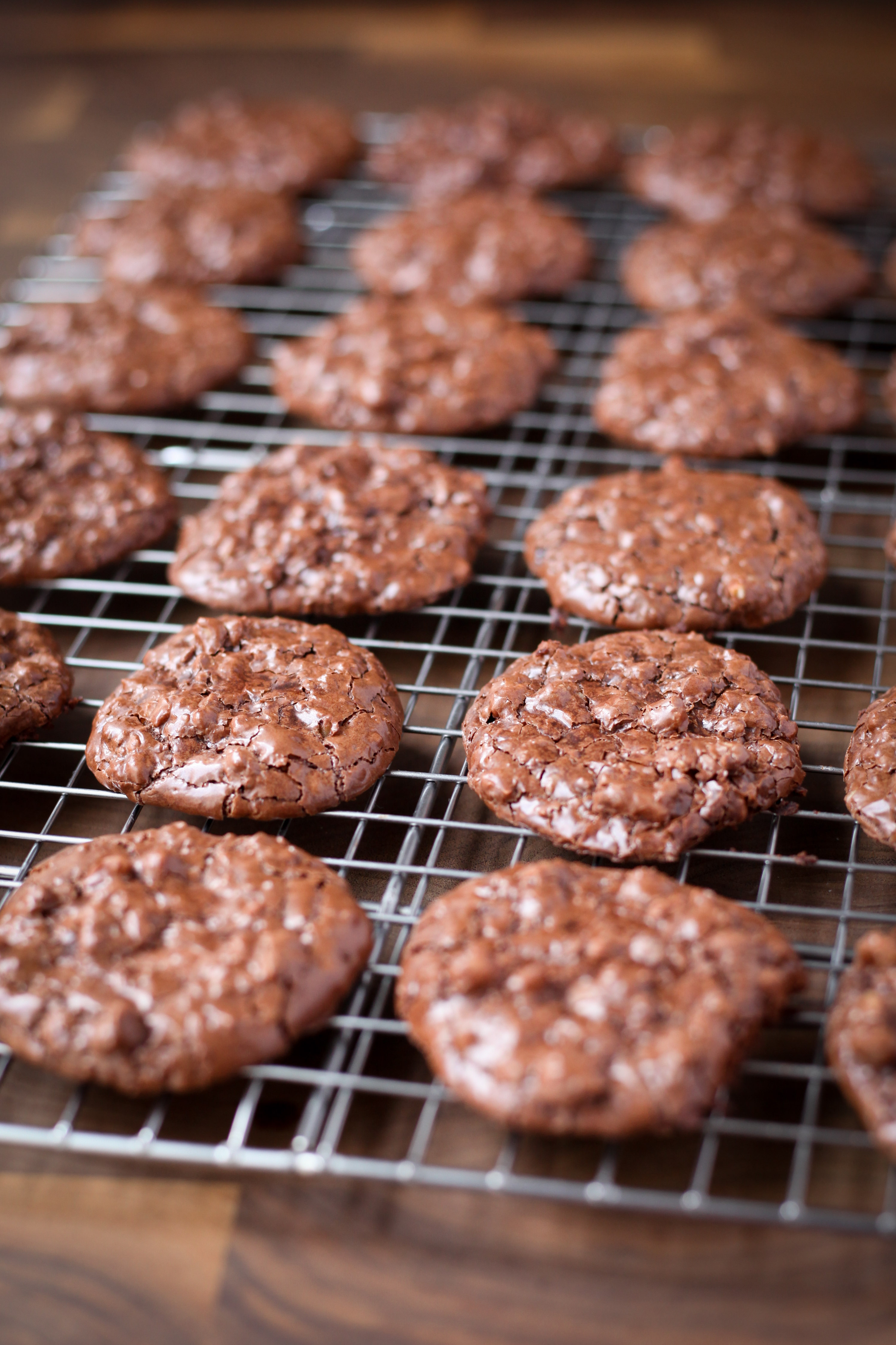 Flourless Chocolate Walnut Cookies | amodestfeast.com | @amodestfeast