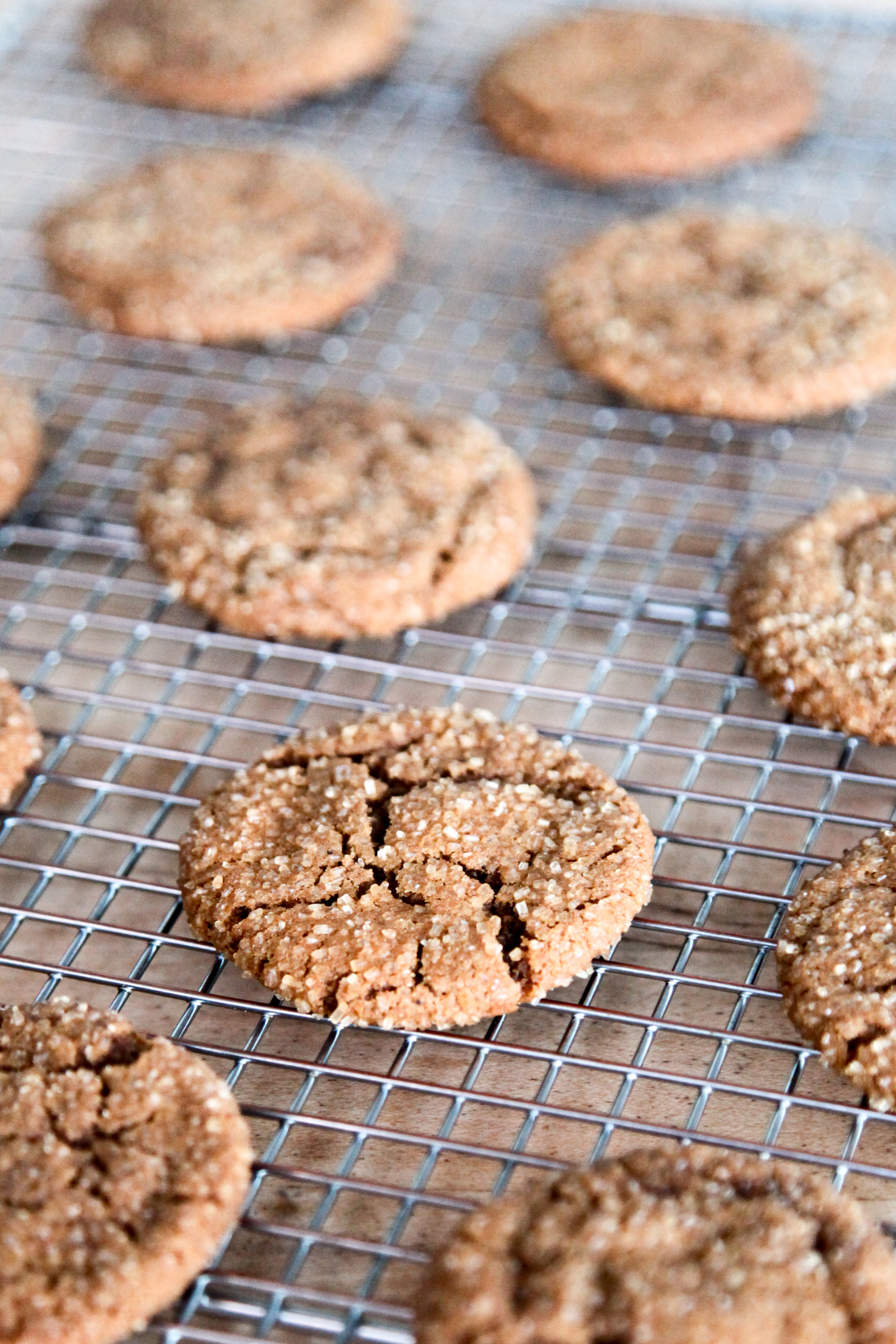 Molasses Spice Cookies | amodestfeast.com | @amodestfeast