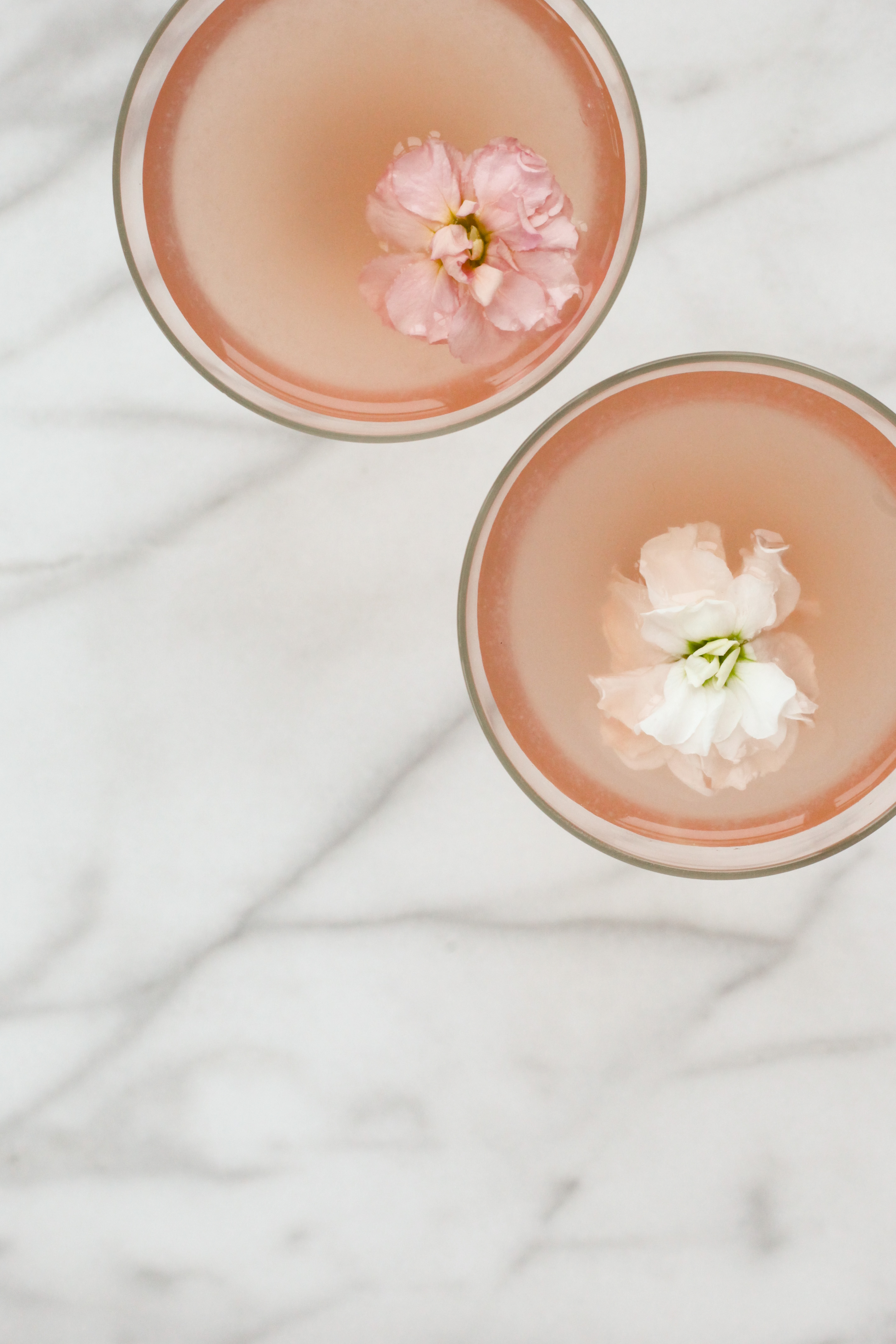 Lillet, Elderflower, and Grapefruit Gin Cocktail | amodestfeast.com | @amodestfeast