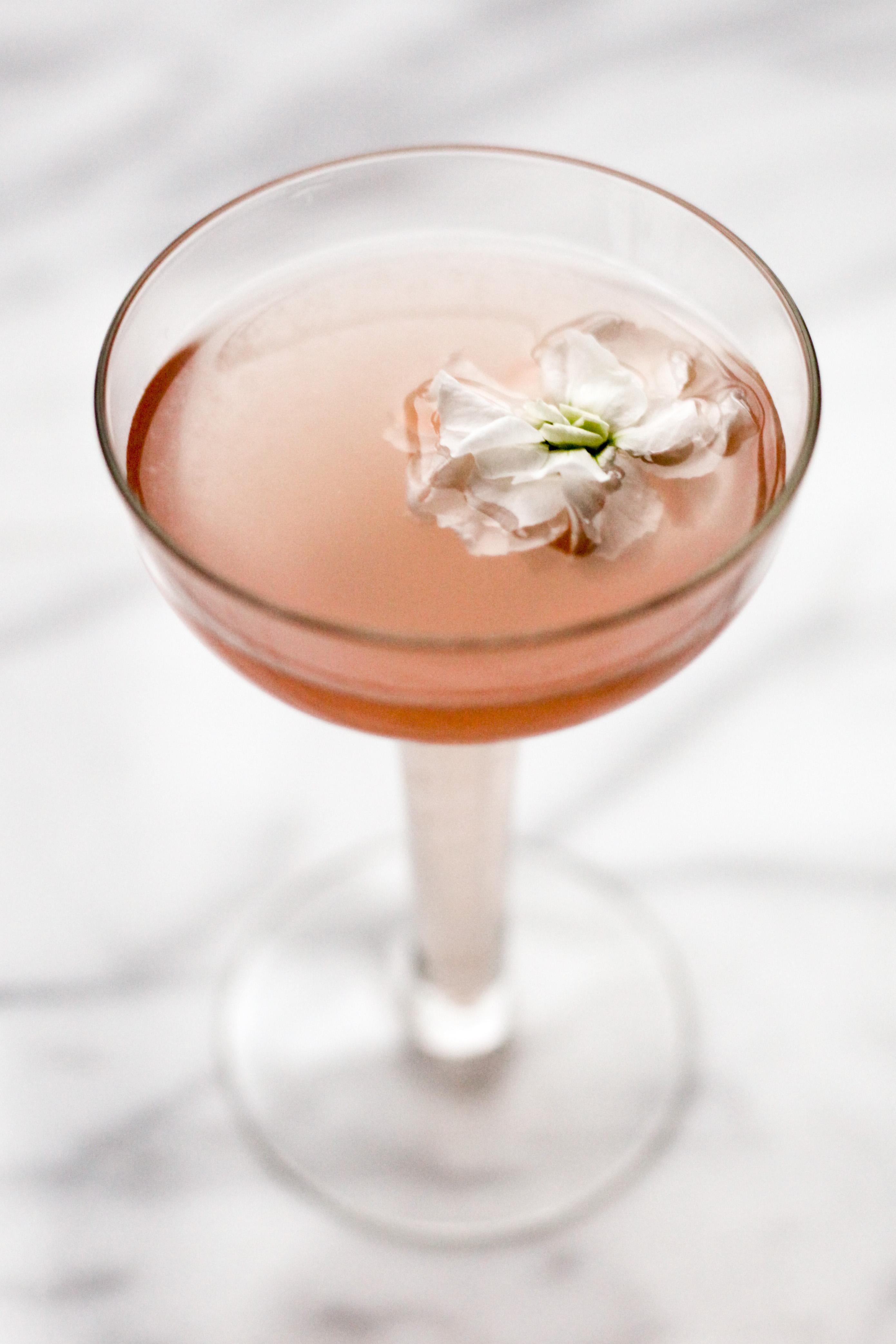 Lillet, Elderflower, and Grapefruit Gin Cocktail | amodestfeast.com | @amodestfeast