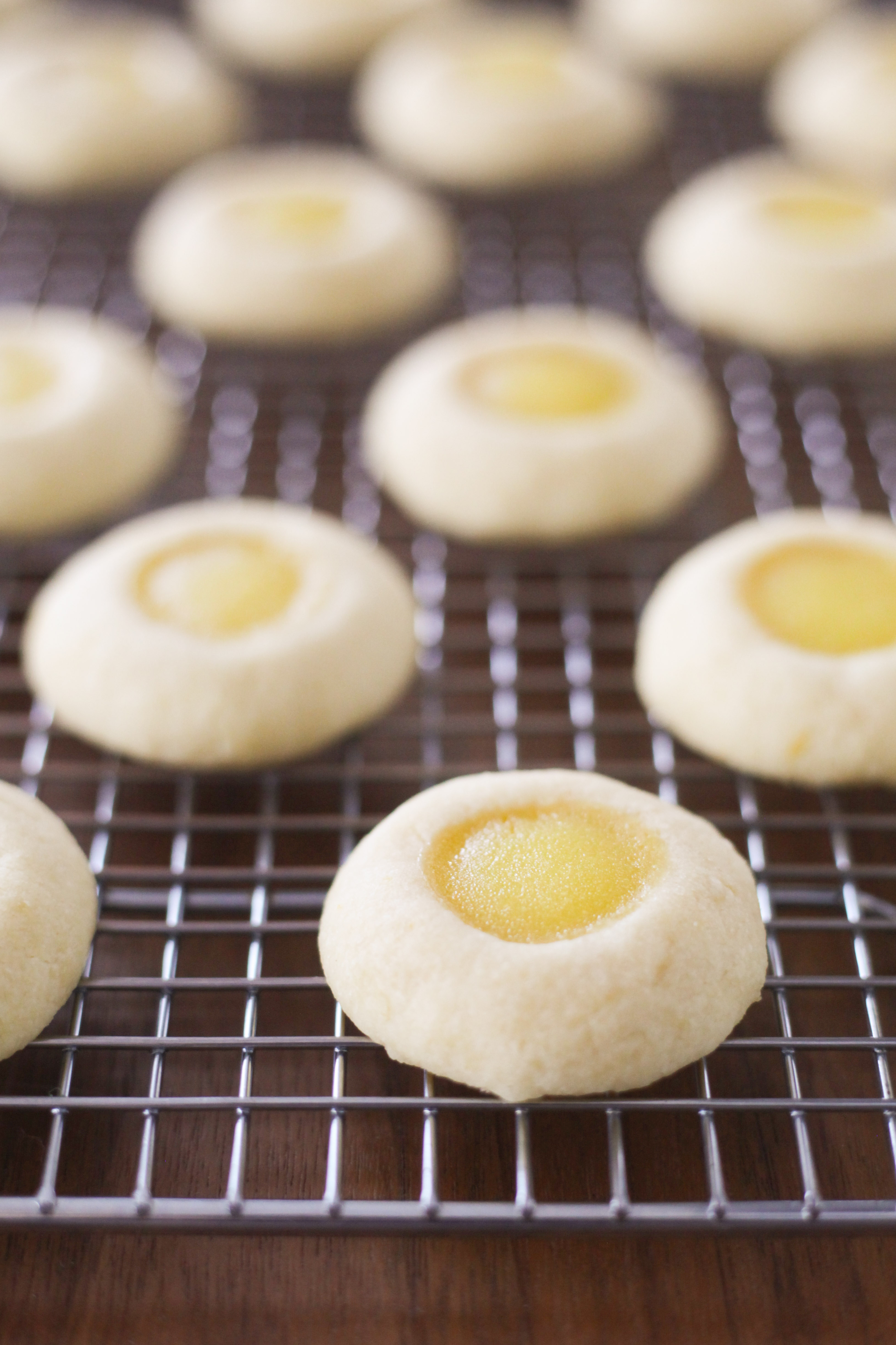 Lemon Curd Thumbprint Cookies | amodestfeast.com | @amodestfeast
