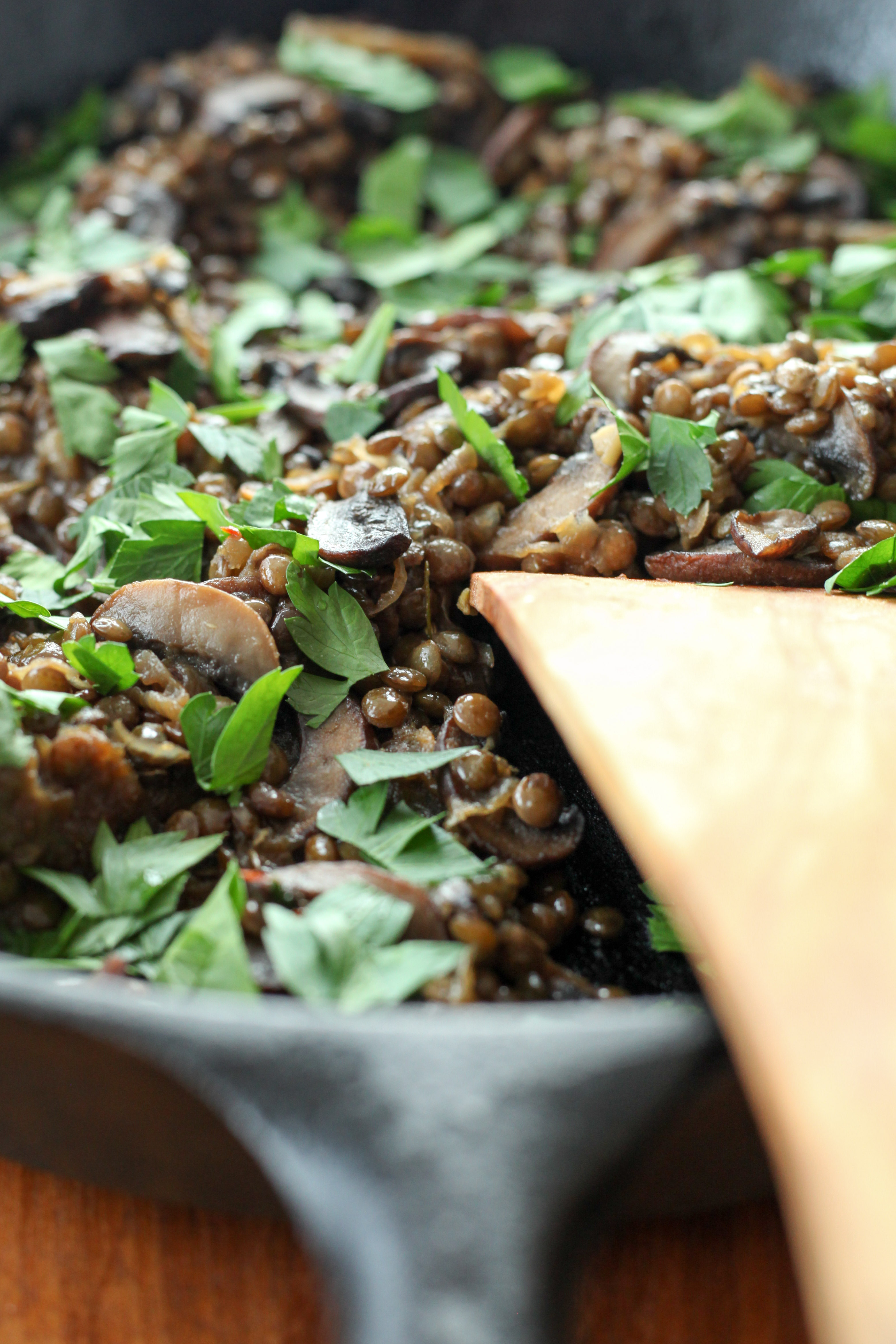 Lentils With Caramelized Onions and Mushrooms, and Lemony Yogurt (gluten-free, vegetarian) | A Modest Feast | @amodestfeast