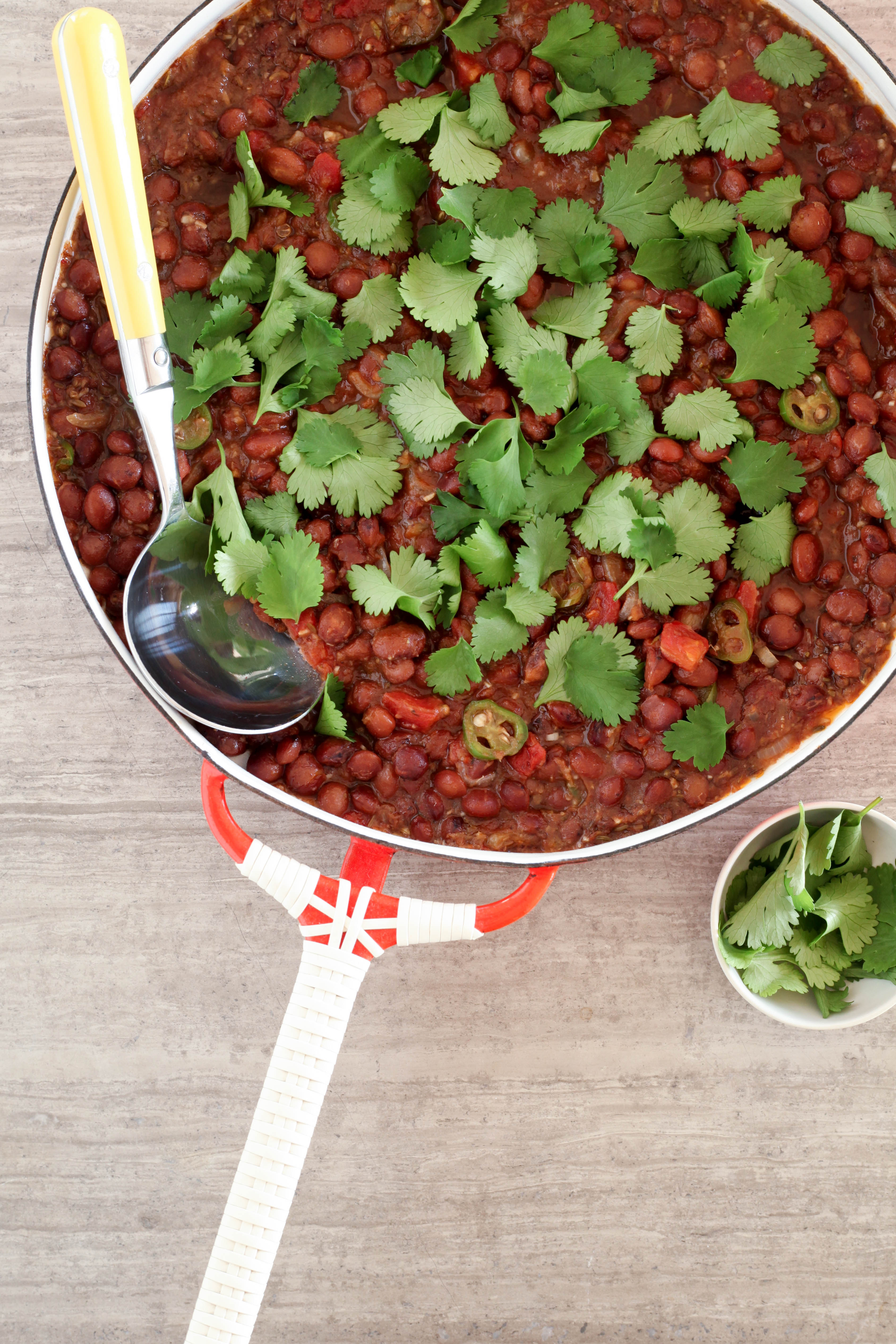 Indian-Spiced Cranberry (aka Borlotti) Beans (vegan/gluten-free) | A Modest Feast | @amodestfeast