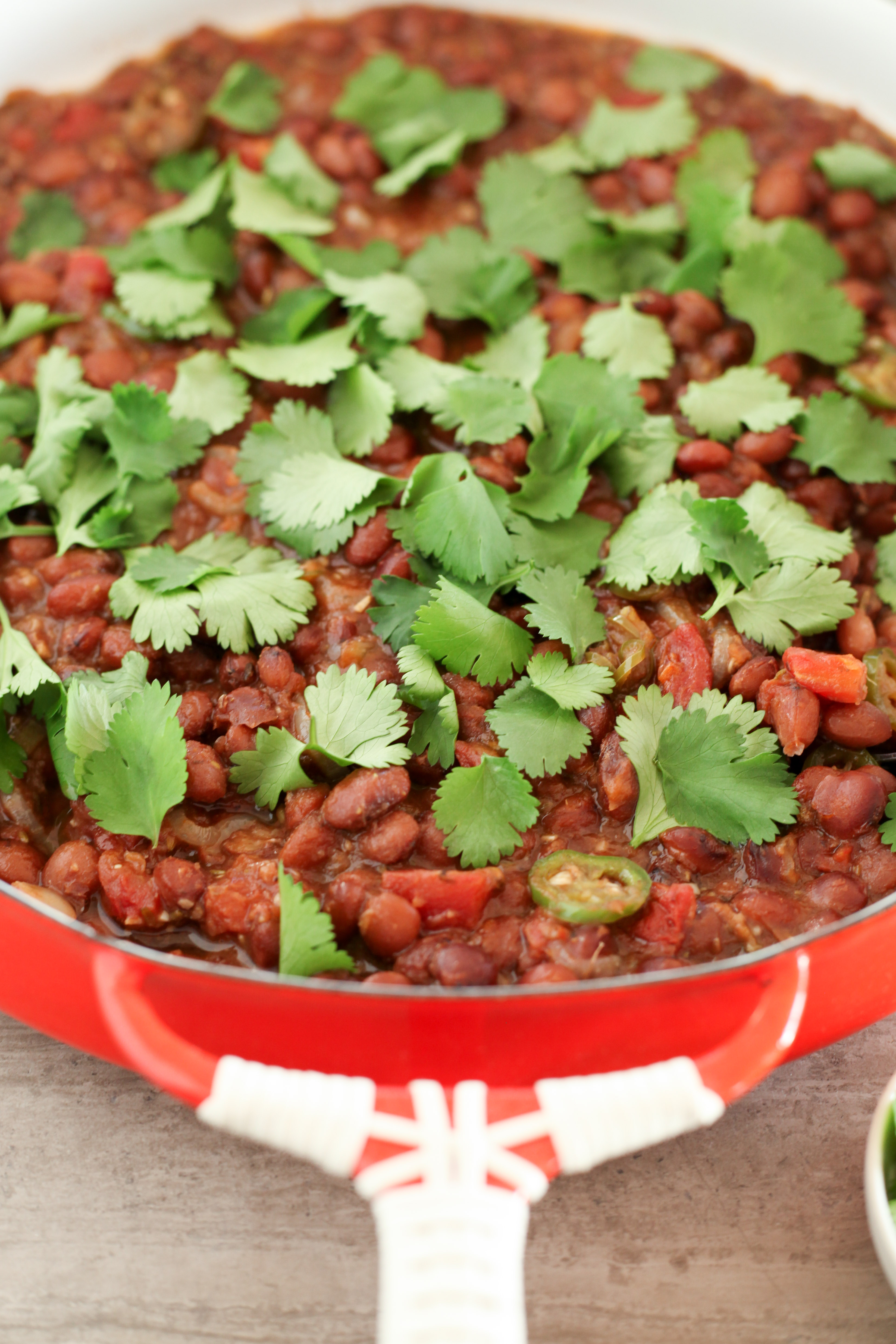 Indian-Spiced Cranberry (aka Borlotti) Beans (vegan/gluten-free) | A Modest Feast | @amodestfeast